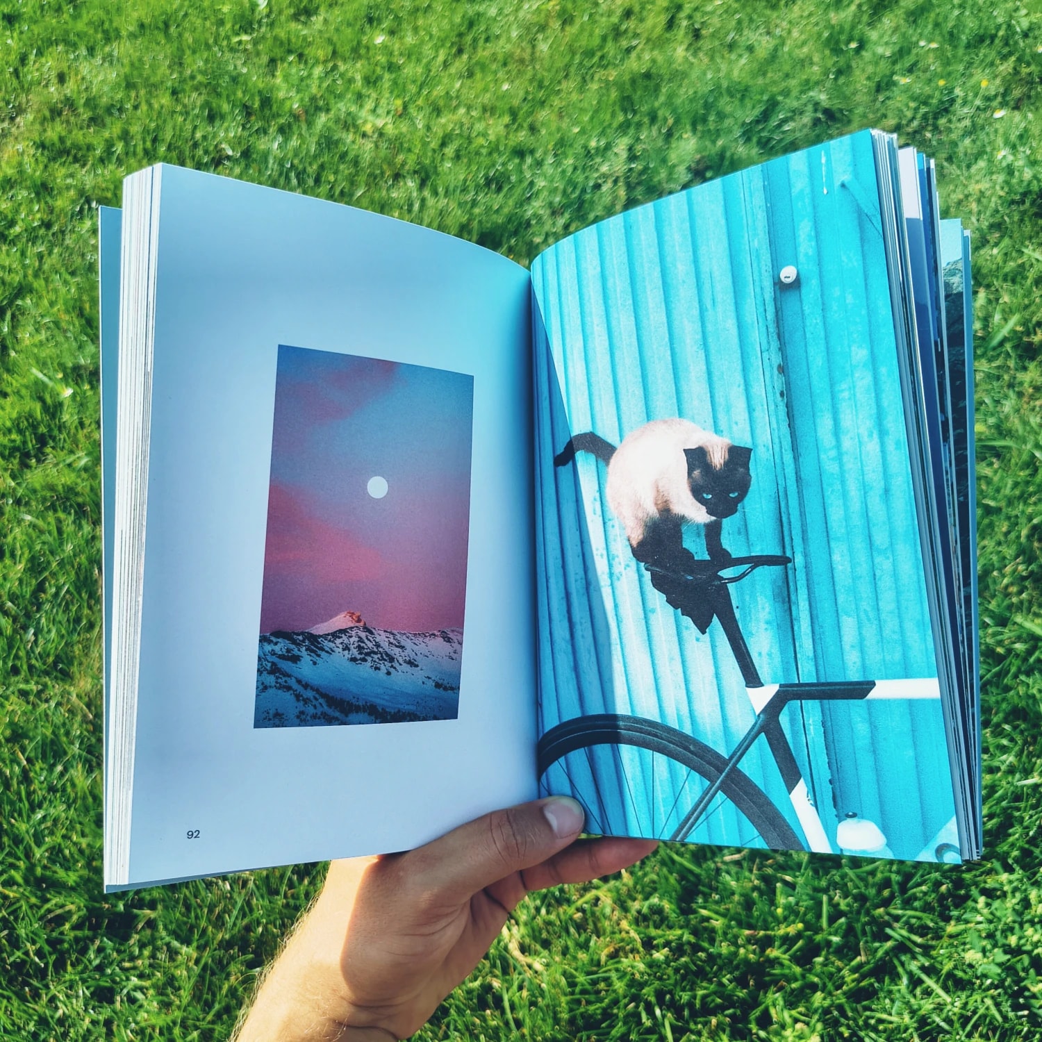 Piękne fotografie
